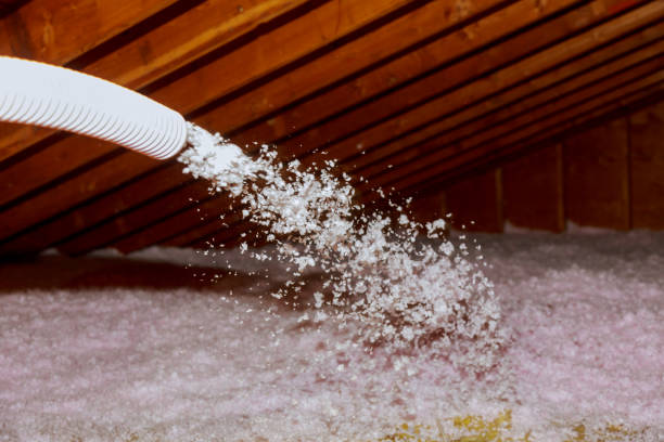 Best Insulation Installation Services in Elmendorf, TX