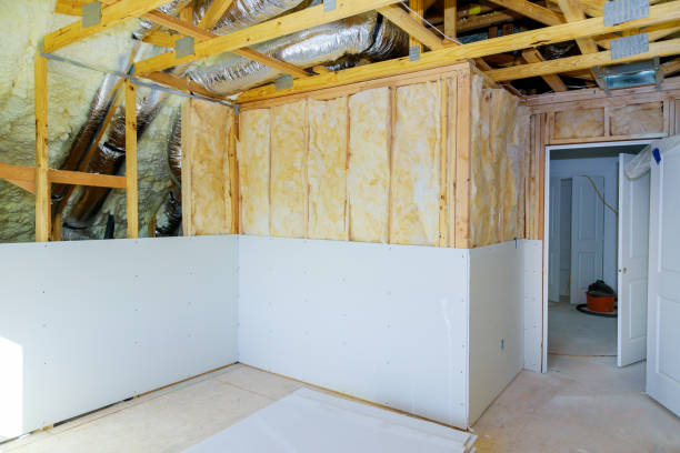 Best Residential Insulation in Elmendorf, TX