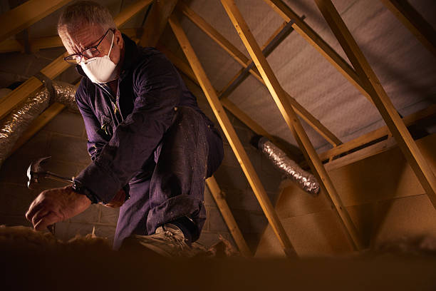 Best Insulation Materials and Products in Elmendorf, TX