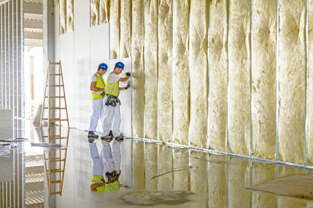 Best Commercial Insulation in Elmendorf, TX
